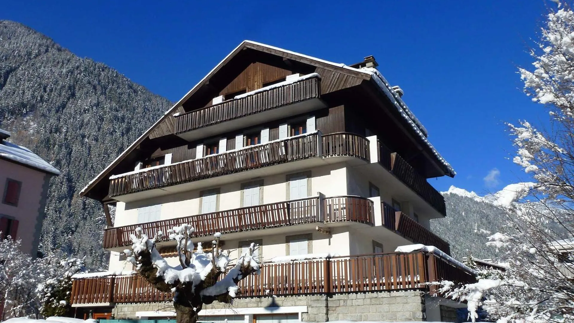 Chamonix : Bel Appart 4 Pers, 2 Ch, Wifi, Parking, Animaux Acceptes - Fr-1-343-257 França